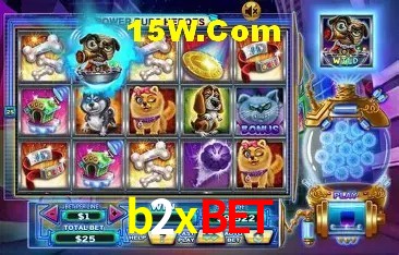 b2xbet Salvador - Promo Stats